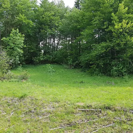 Hotel Gasperin Bohinj