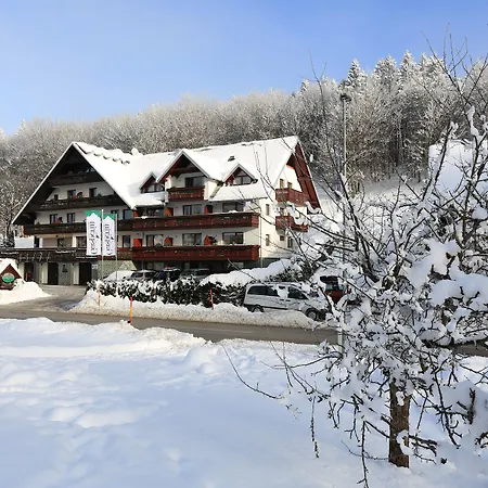 Hotel Gasperin 3*