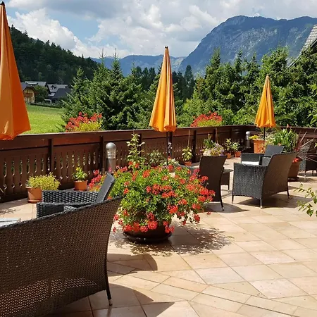 加斯佩林波欣酒店 博希尼