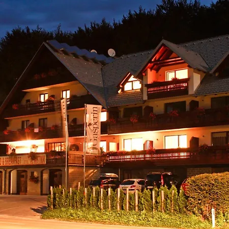 Hotel Gasperin 3*