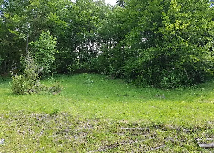 호텔 Gasperin 보히니