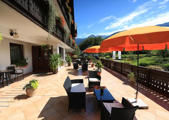 Gasperin 3* 보히니