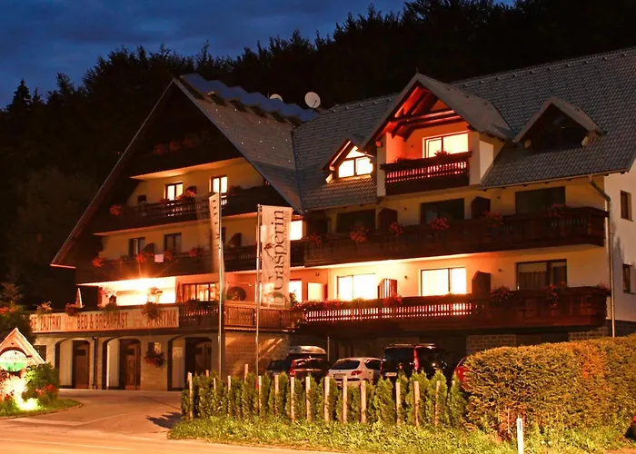 Hotel Gasperin 3*